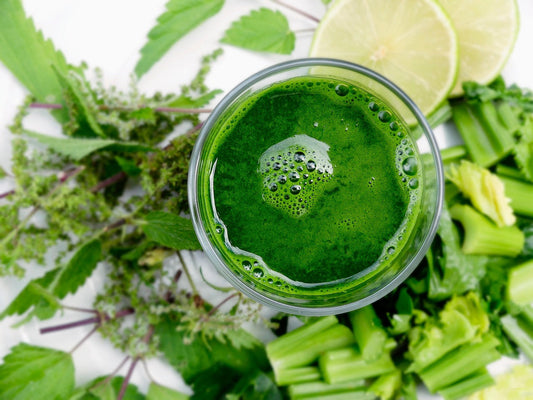 Glas frisch gepresster grüner Gerstengrassaft, umgeben von Kräutern, Limetten und Selleriestücken