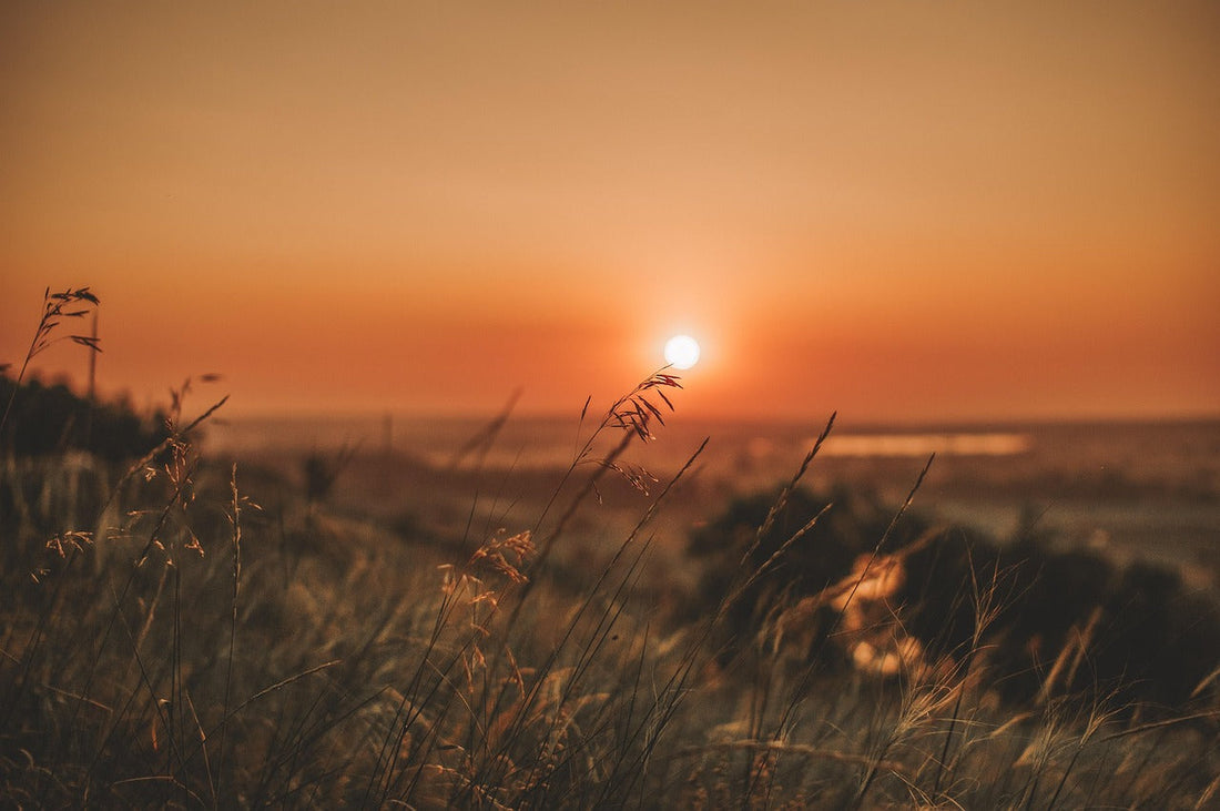 Ein Sonnenuntergang über offenen Feldern und Wiesen