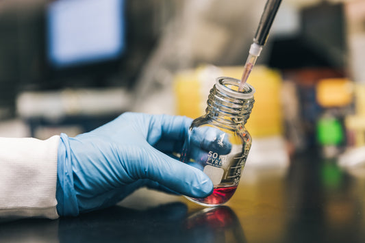 Hand in Laborhandschuh hält ein Glasgefäß, aus dem mit einer Pipette eine rosa Flüssigkeit entnommen wird