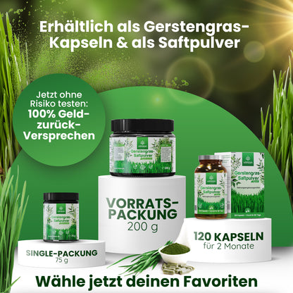 Vimion Gerstengras Kapseln | natürliches Nahrungsergänzungsmittel | 60 Tage