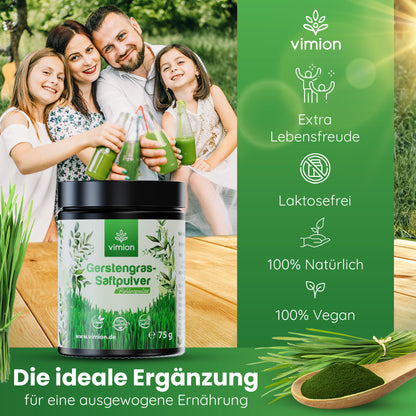 Vimion Gerstengras-Saftpulver | natürlich rohes Nahrungsergänzungsmittel | 30 Tage